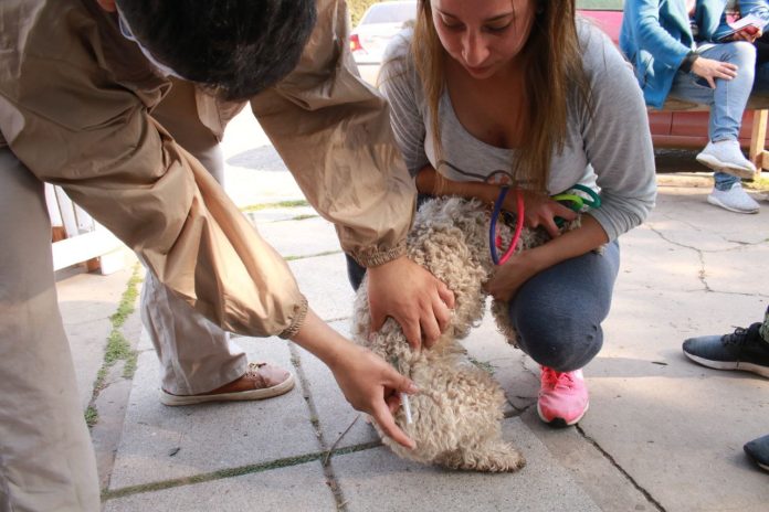 Las personas que vayan con sus animales deberán tener domicilio en el partido de José C. Paz.