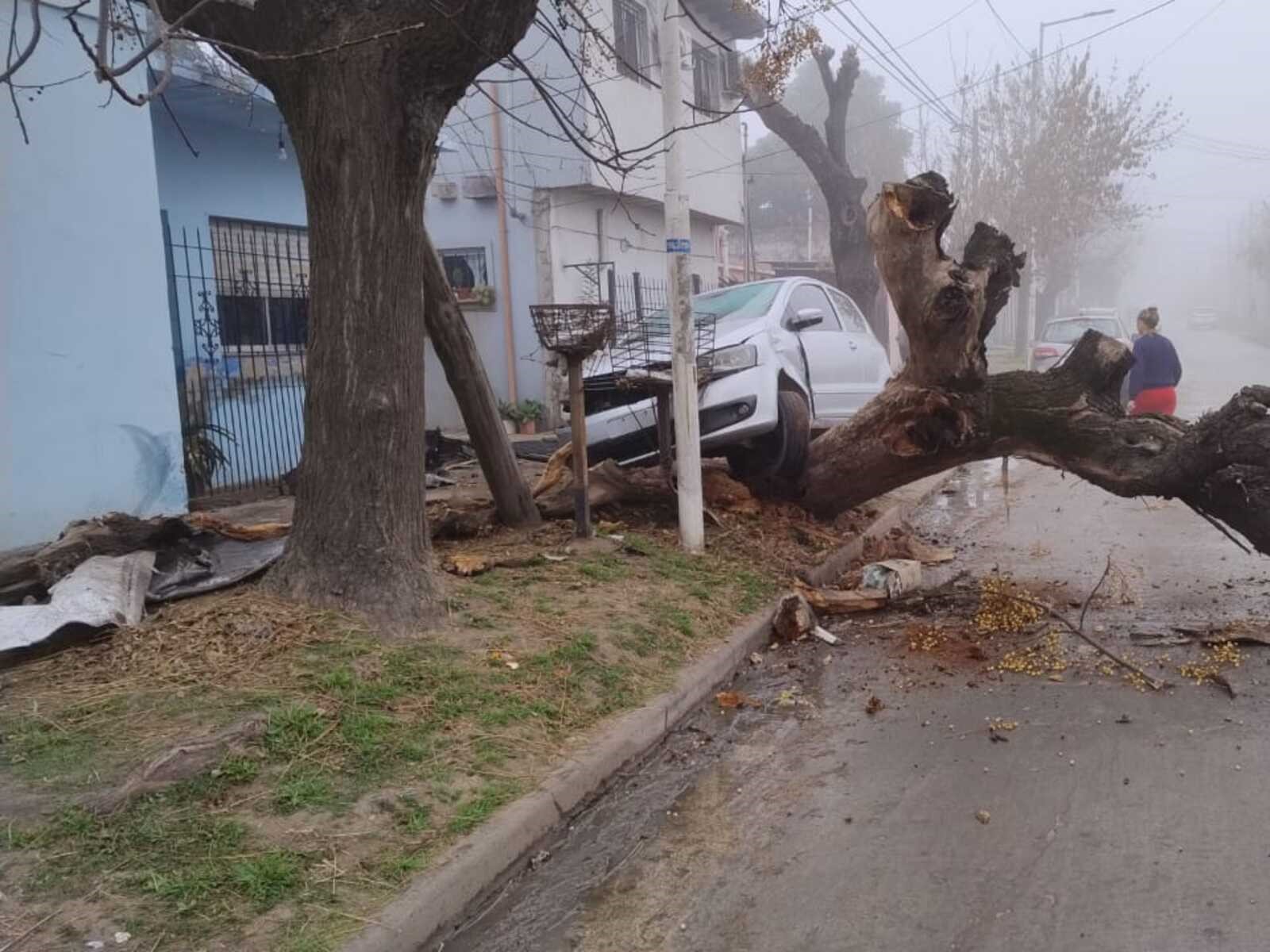 Cómo quedó el coche.