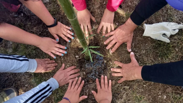 La estrategia de sustentabilidad de la compañía se basa en tres pilares: la gestión ambiental, la inclusión social a través de la tecnología y el resguardo de buenas prácticas de gobierno corporativo