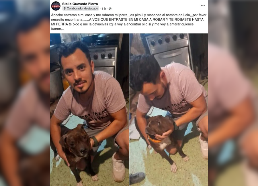 Stella Quevedo Fierro difundió la denuncia en redes sociales con un pedido desesperado al ladrón.