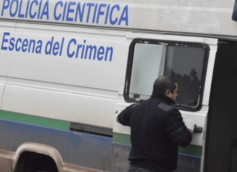 La víctima fue sorprendida por el temporal y la enorme rama cayó sobre ella mientras iba caminando por la calle.