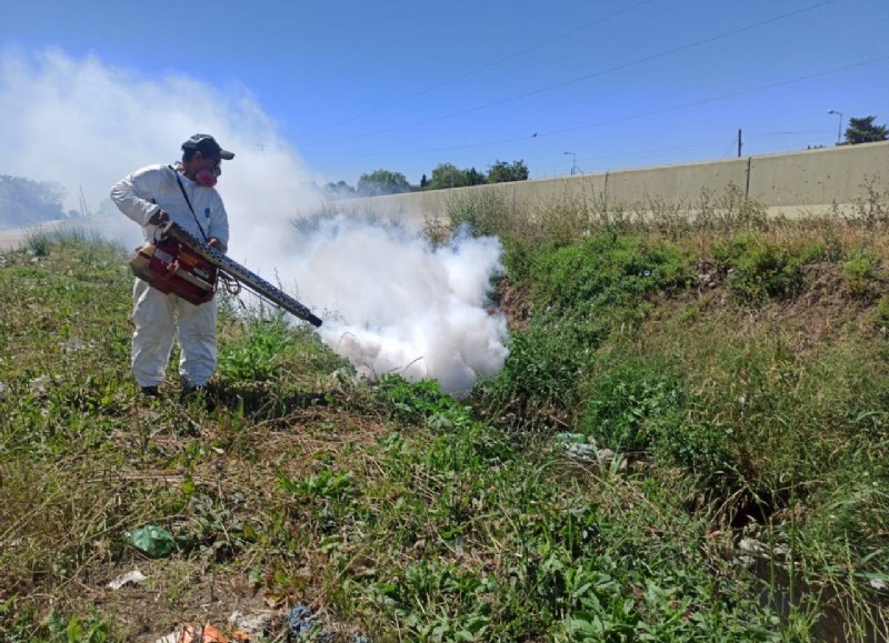 La Secretaría de Delegaciones realizó tareas de fumigación en varios puntos del distrito. 