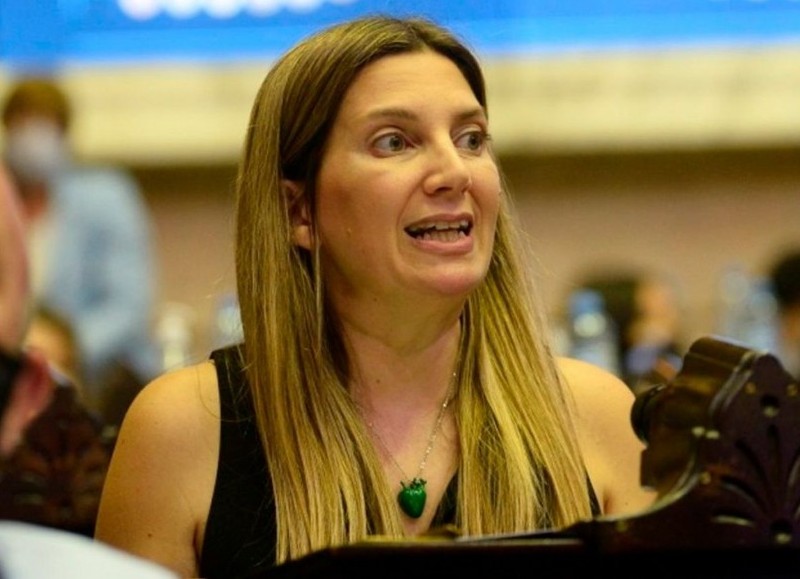 Disciplina en jaque: la salida de Lospennato que obligó a rearmar la estrategia del bloque