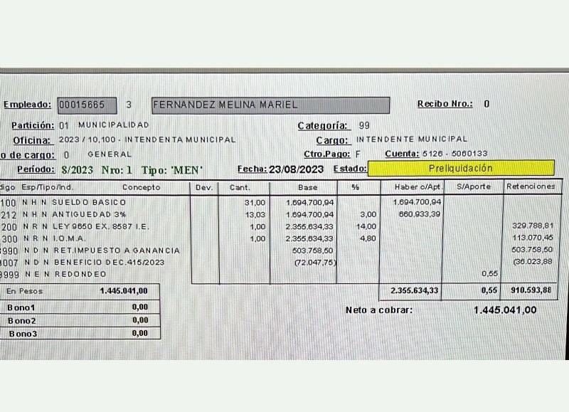 El recibo de sueldo de la intendente bonaerense Mariel Fernández de Moreno.