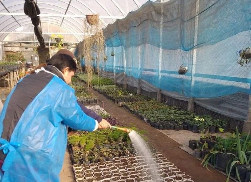 La Municipalidad de José C. Paz informó que continua la práctica pre profesional con el centro de día Sans Frontiers en las instalaciones del Polo Productivo.