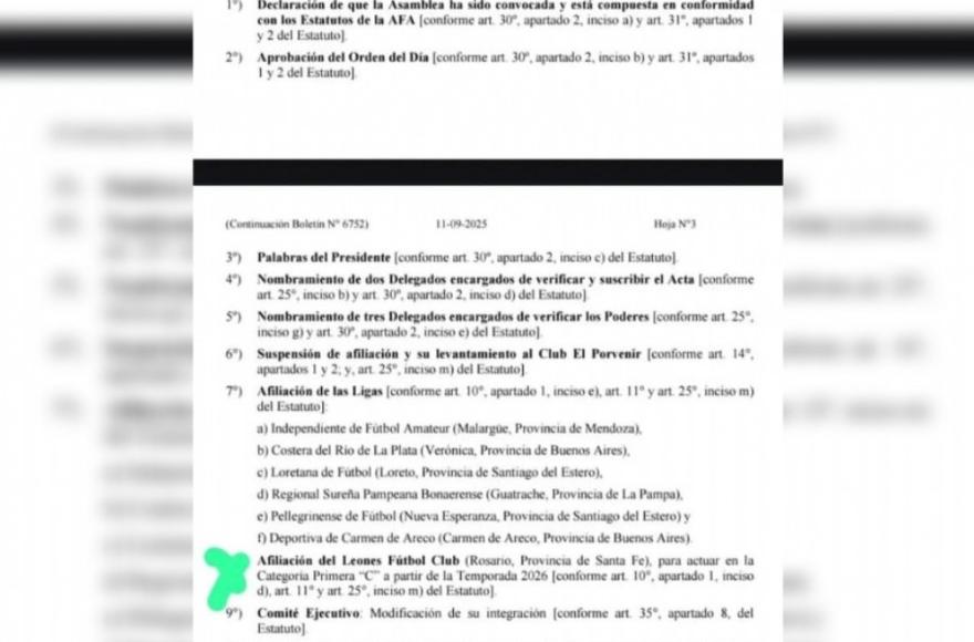 Leones de Rosario fue señalado como ejemplo de los privilegios en la gestión actual de la AFA.