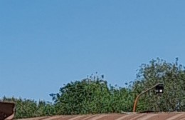 Alertan por chapa desprendida en techo parabólico del Corralón