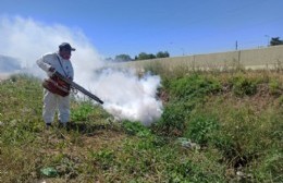 Comenzó la fumigación en los distintos puntos de Merlo