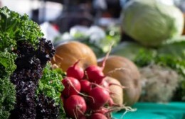Vuelve "El Mercado en tu Barrio": dónde estará esta semana y qué alimentos se podrán comprar