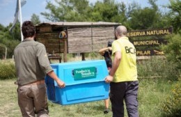 Pilar: el Ministerio de Ambiente liberó aves autóctonas en una reserva natural