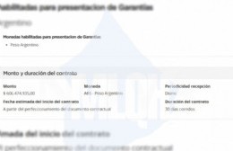 Provincia de Buenos Aires destina millones a iluminación con precios inflados