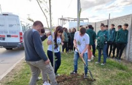 Un proyecto, un ejemplo y trabajo en equipo