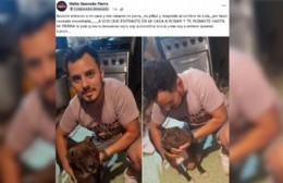 Mercedes: ex candidata a concejal sufrió un robo en su domicilio del barrio San Martín y pide la devolución de su perra