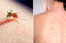 Período epidémico: la ciudad de Moreno tiene a 16 vecinos con dengue