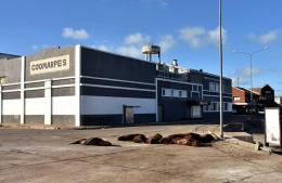 Denuncian ocultamiento de pruebas en la investigación contra COOMARPES que se sigue en Mar del Plata